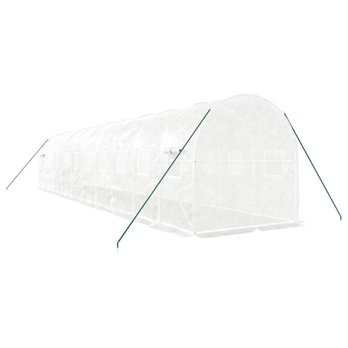 Greenhouse With Steel Frame White 20 M² 10x2x2 m Tonnbto