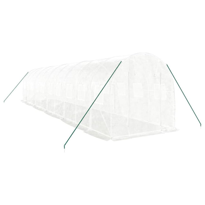 Greenhouse With Steel Frame White 20 M² 10x2x2 m Tonnbto