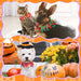 Halloween Spider Turkey Decorative Dogs Ruffle Collar