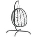 Hanging Egg Chair With Cushion Anthracite Poly Rattan&steel