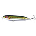 Hard Bass Lure For Pencil Road Fishing