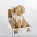 Nz Local Stock- Harry Potter - Dobby Plush With Sound