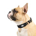 Heavy Duty Dog Collar Reflective Adjustable