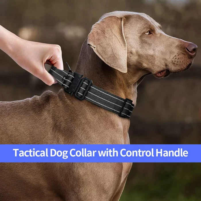 Heavy Duty Tactical Dog Collar Adjustable Military Control