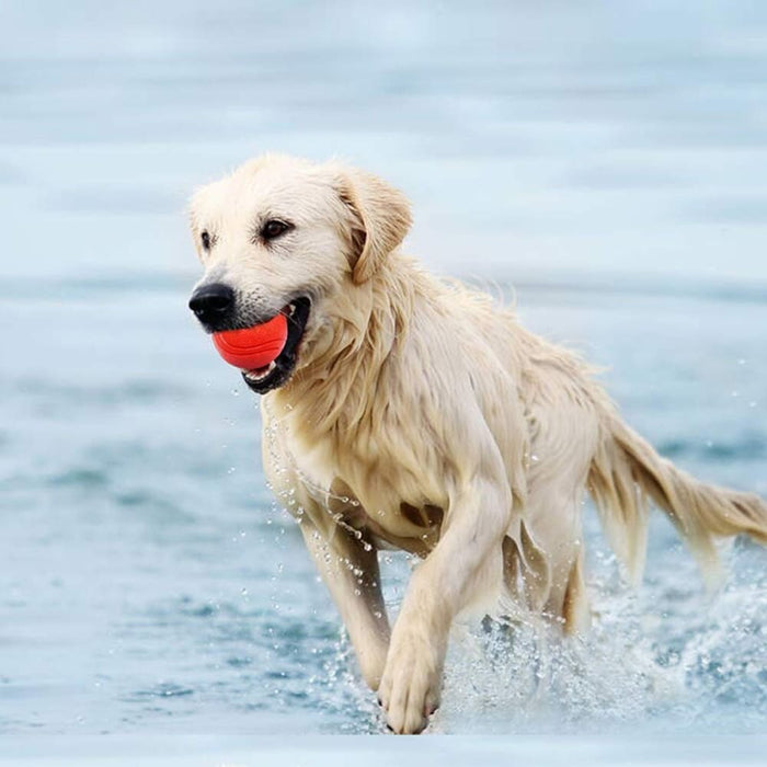 High-bouncing Solid Rubber Chew Ball For Small Medium Large