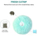 Interactive Electric Cat Toy With Catnip Plush Squeak Ball