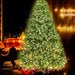 Jingle Jollys 1.8m 6ft Christmas Tree Xmas 1980 Led Lights