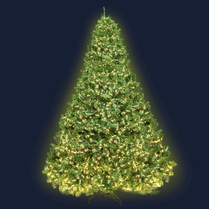 Jingle Jollys 2.4m 8ft Christmas Tree Xmas 3190 Led Lights