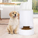 3l Large Capacity Automatic Transparent Baffle Pet Dish