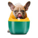 Large Capacity Automatic Ultra-quiet Pet Water Dispenser