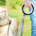 Goslash Picks Led Dog Leash Lead Walking Rope Flashlight