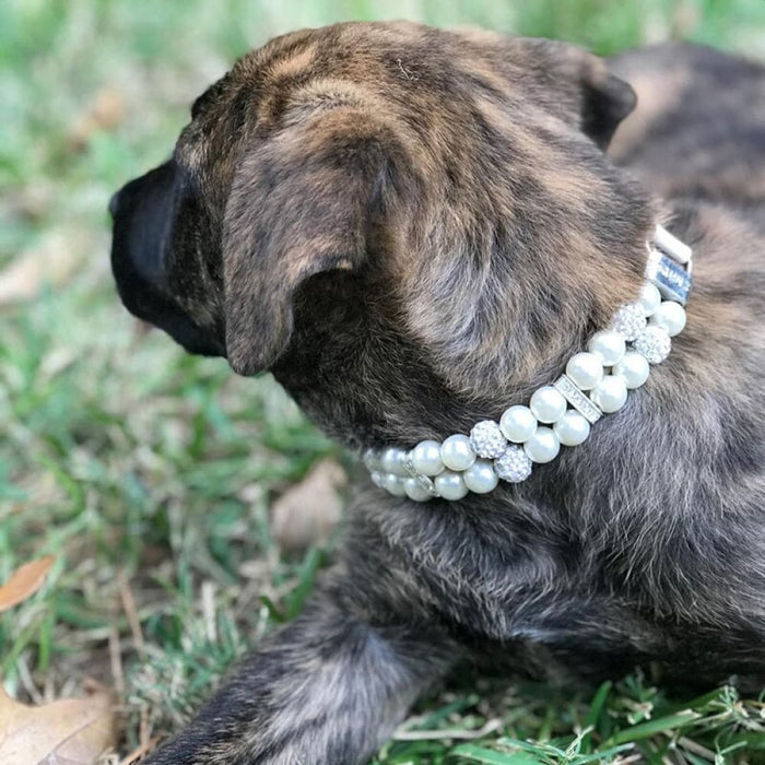 Pu Leather Adjustable Strap Pearl Collar For Dog Weddings