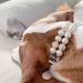 Pu Leather Adjustable Strap Pearl Collar For Dog Weddings