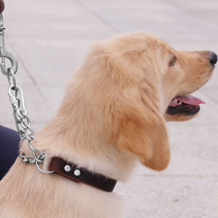 Leather Dog Collar With Stainless Steel Chain