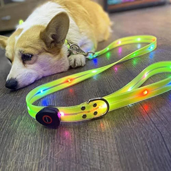 Led Dog Leash Collar Set Waterproof Usb Rechargeable