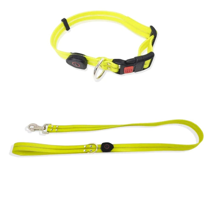 Led Dog Leash Collar Set Waterproof Usb Rechargeable