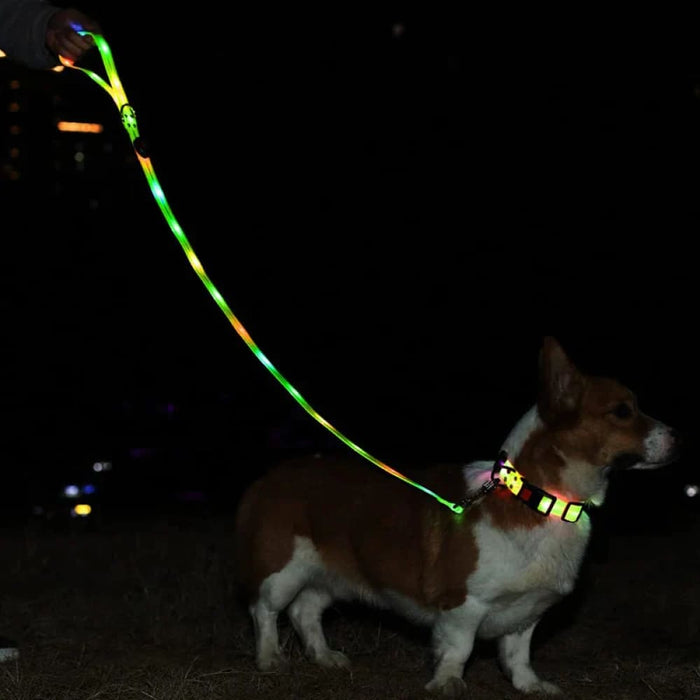 Led Dog Leash Collar Set Waterproof Usb Rechargeable