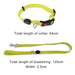 Led Dog Leash Collar Set Waterproof Usb Rechargeable