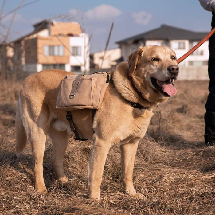 Lightweight Cotton Canvas Adjustable Pet Saddle Backpack