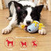 Lightweight Nontoxic Sturdy Rubber Teething Dog Chew Rope