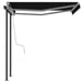 Manual Retractable Awning With Posts 3x2.5 m Anthracite