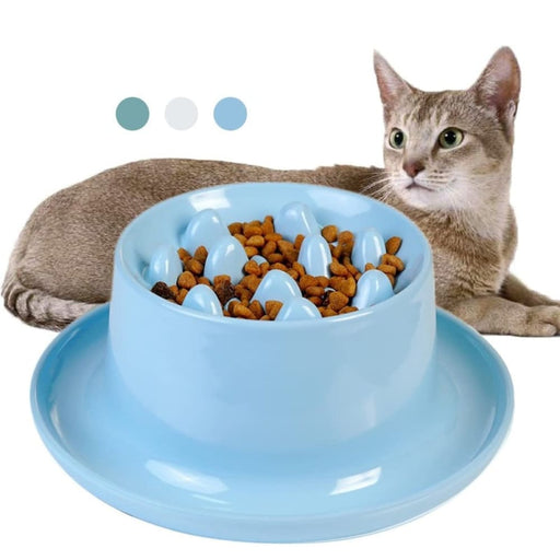 No Mess Durable Pet Slow Feeder Food Bowl For Kitten Puppy