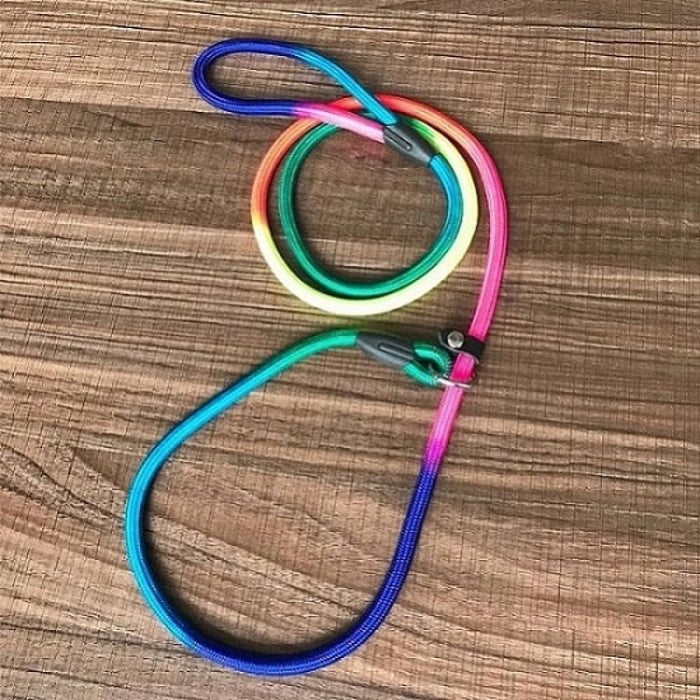 Multi-colour Design Nylon Dog Leash