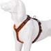 Neoprene Padded Comfort Dog Harness