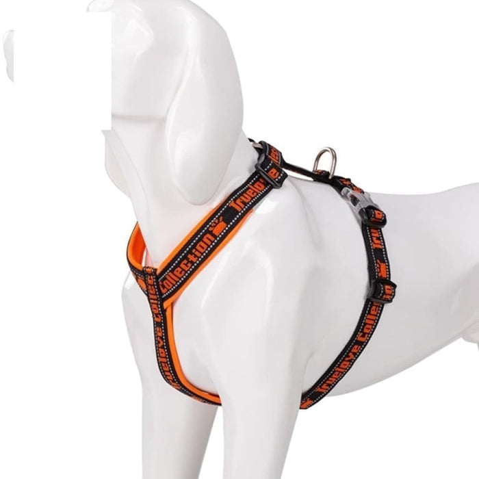 Neoprene Padded Comfort Dog Harness