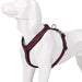 Neoprene Padded Comfort Dog Harness