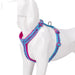 Neoprene Padded Comfort Dog Harness