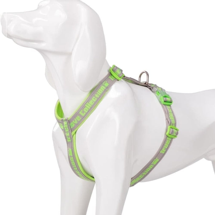 Neoprene Padded Comfort Dog Harness