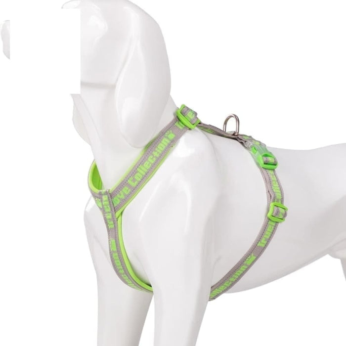 Neoprene Padded Comfort Dog Harness