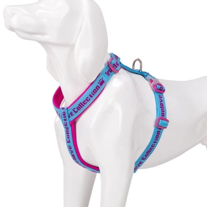 Neoprene Padded Comfort Dog Harness