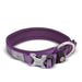 Neoprene Padded 3m Reflective Dog Collar