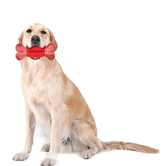 Nontoxic Rubber Nylon Teeth Cleaning Dog Chew Toys