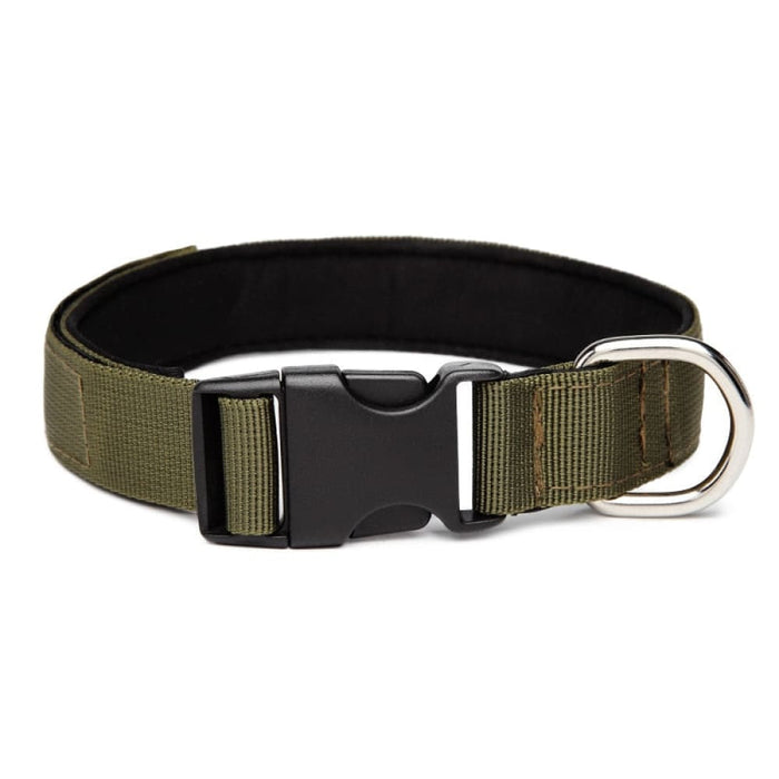 Nylon Comfortable Dog Collar With Metal o Ring