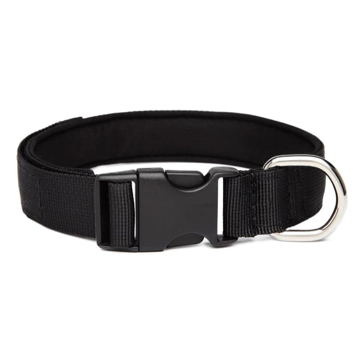 Nylon Comfortable Dog Collar With Metal o Ring