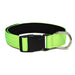 Nylon Comfortable Dog Collar With Metal o Ring