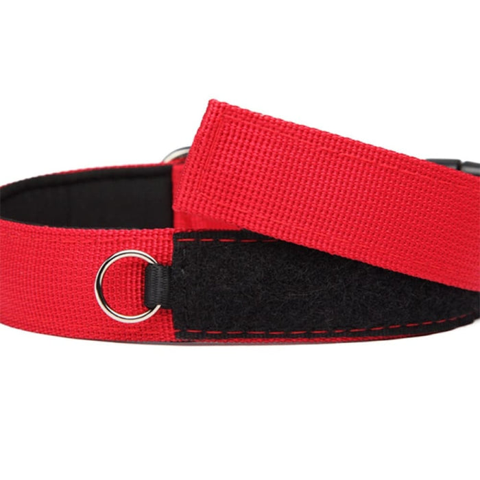 Nylon Comfortable Dog Collar With Metal o Ring