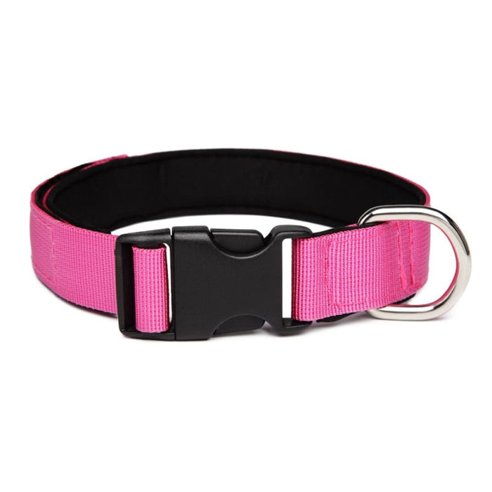 Nylon Comfortable Dog Collar With Metal o Ring