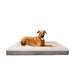 Ortho Orthopedic Dog Bed - Xl