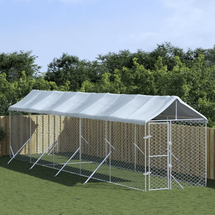 Outdoor Dog Kennel With Roof Silver 2x10x2.5 m Galvanised