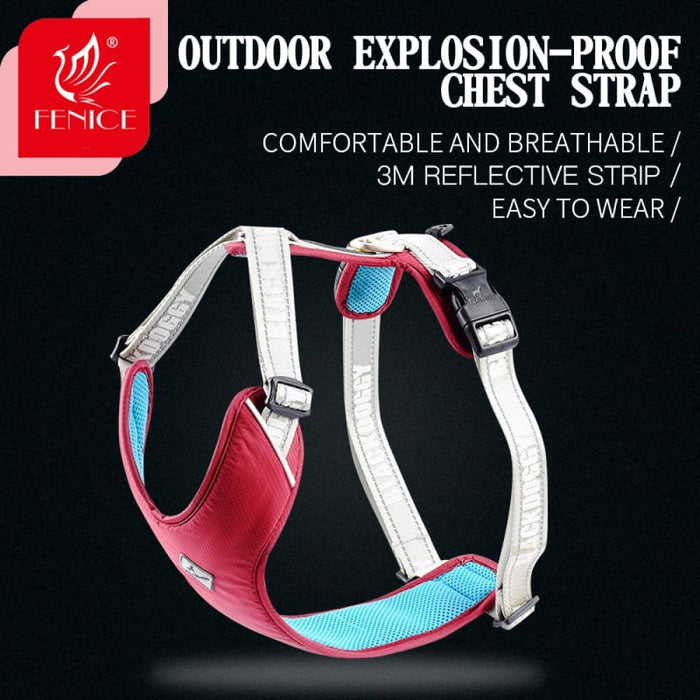 Outdoor Professional Fashionable Medium Small Dog