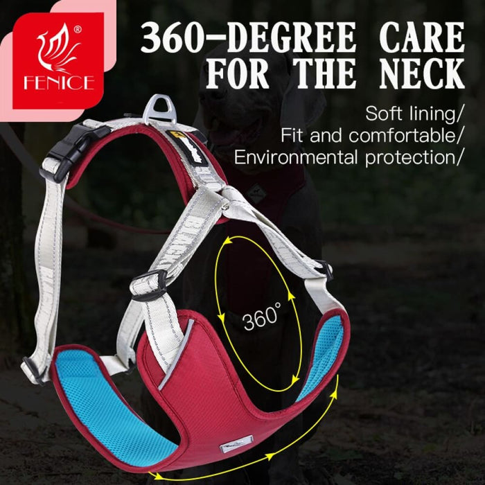 Outdoor Professional Fashionable Medium Small Dog