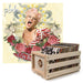 P Nk Vinyl Album Bundle With Record Crate