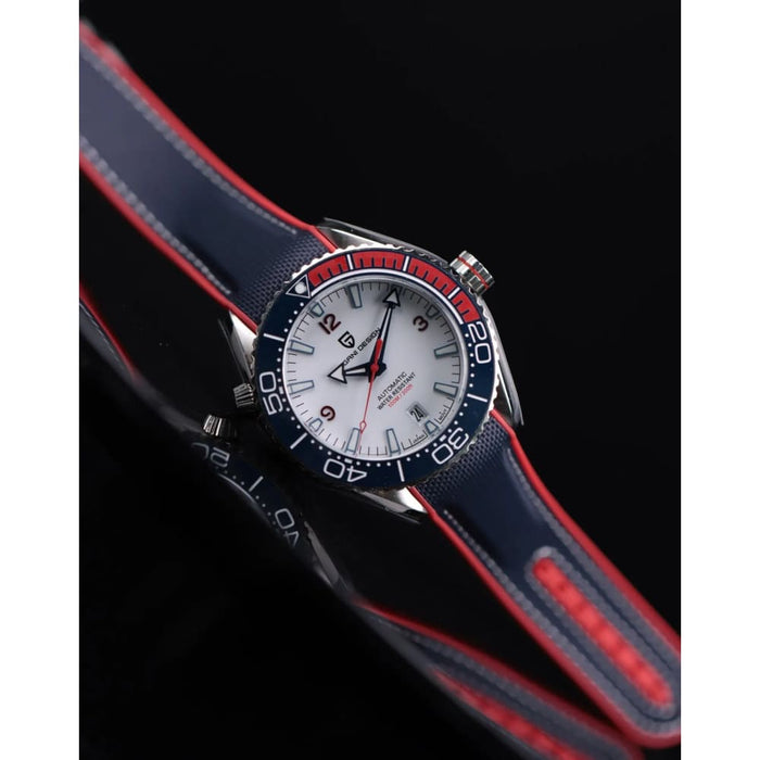 Pagani Design Mens Automatic Watch