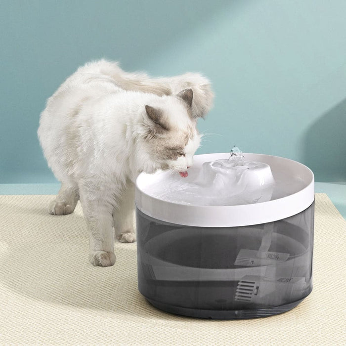 Pet Water Fountain Dispenser Filter Dog Cat Drinking