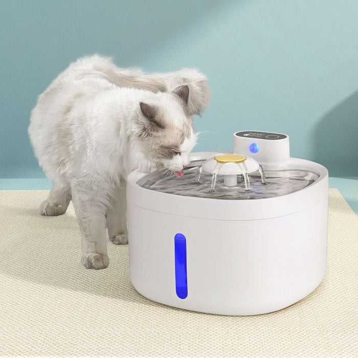 Pet Water Fountain Dispenser Filter Dog Cat Drinking