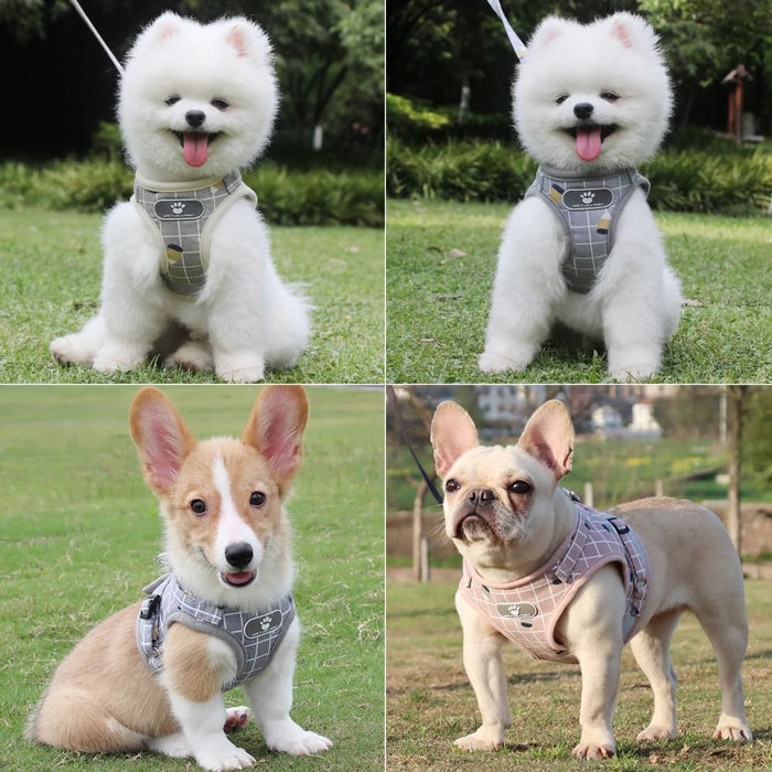 Plaid Dog Harness With Leash And Collar Set